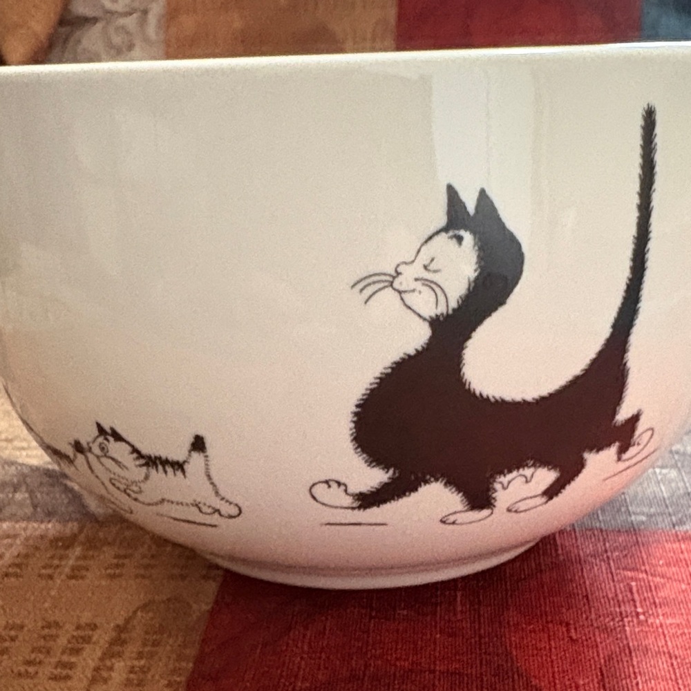🛍️5/$20🛍️Charming Cat Bowl🐈⬛ - Picture 2 of 6